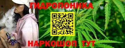 гашик Рязань