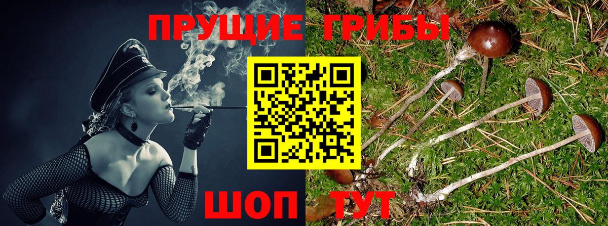 Псилоцибиновые грибы ЛСД  Вход с VPN  Новошахтинск 