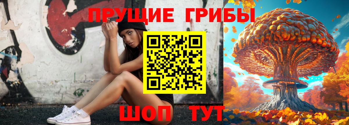 Галлюциногенные грибы GOLDEN TEACHER Новошахтинск